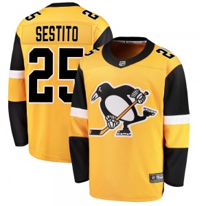 Youth Tom Sestito Pittsburgh Penguins Fanatics Branded Breakaway Gold Alternate Jersey